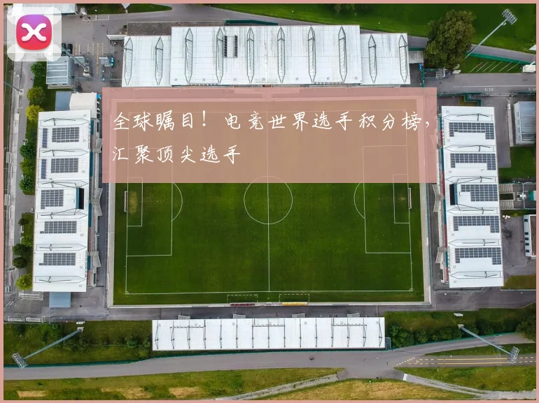 全球瞩目!电竞世界选手积分榜,汇聚顶尖选手